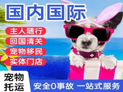 义勒力特机场货运国际宠物托运 【国